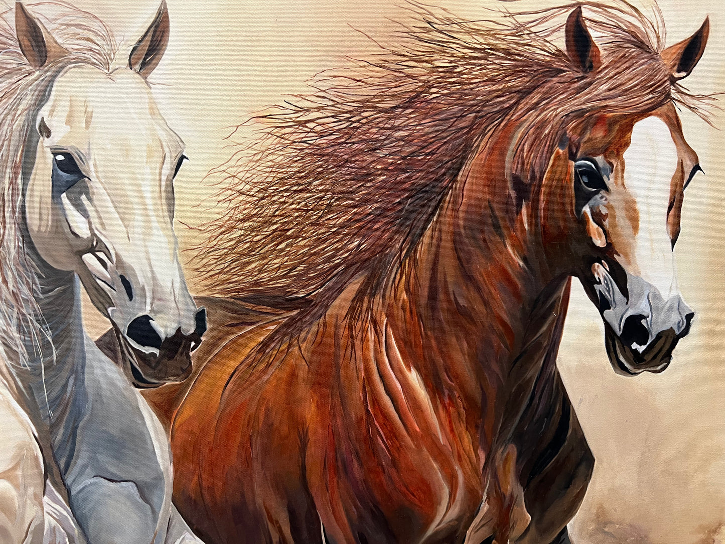 Horses of Freedom